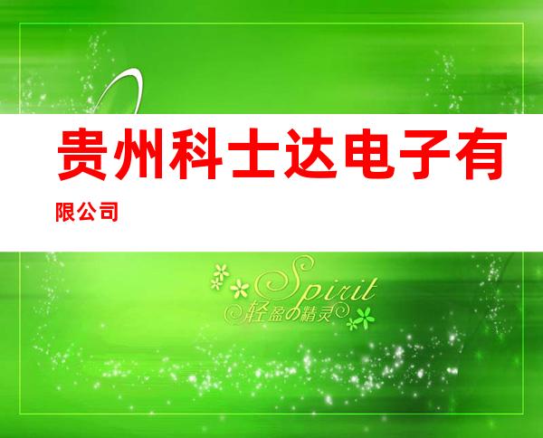 贵州科士达电子有限公司